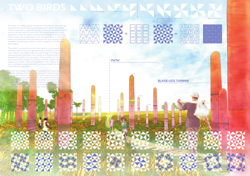Two Birds