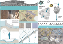 Symbiotic Infrastructures
