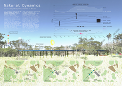 Natural Dynamics: Water Wind Sun