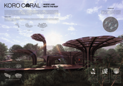 Koro Coral