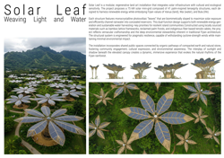 Solar Leaf: Weaving Light and Water