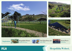 HERPOLITHA WEBERI