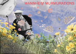 Mannheim Murmurations